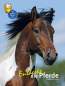 Preview: Entdecke die Pferde